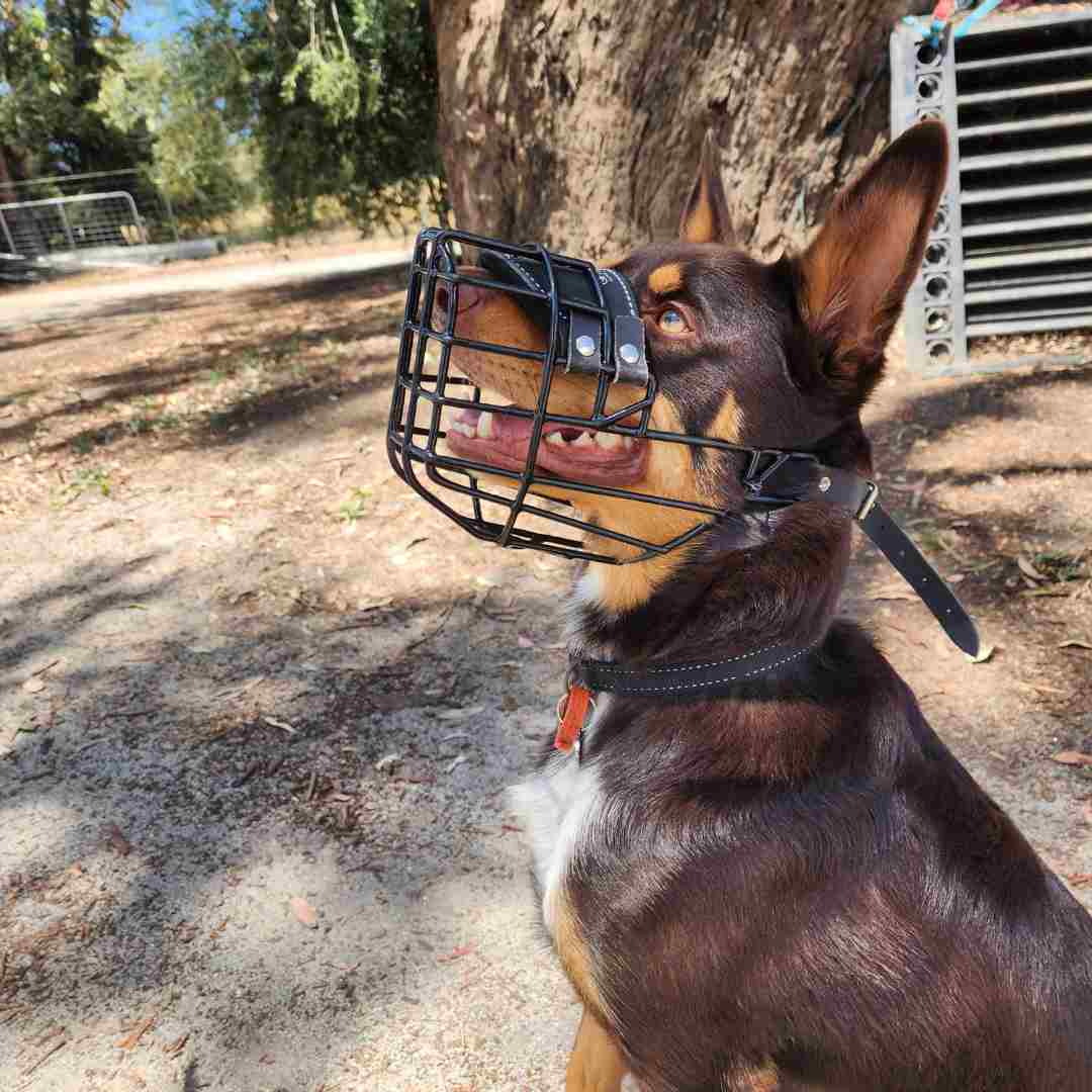 Puggle muzzle clearance